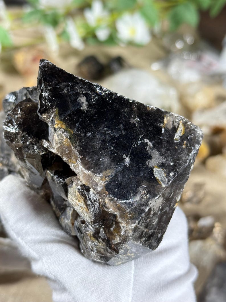 May include: A large, dark smoky quartz crystal with a rough, textured surface. The crystal has a deep black color with hints of brown and gold. The edges are sharp and angular, and the overall shape is irregular. The crystal is held in a white glove.