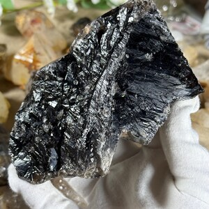 May include: A large, raw black mineral specimen with a reflective, metallic luster. The dark stone has a rough, uneven surface with visible crystalline structures. The mineral is held in a white gloved hand, with other crystals and greenery in the background.