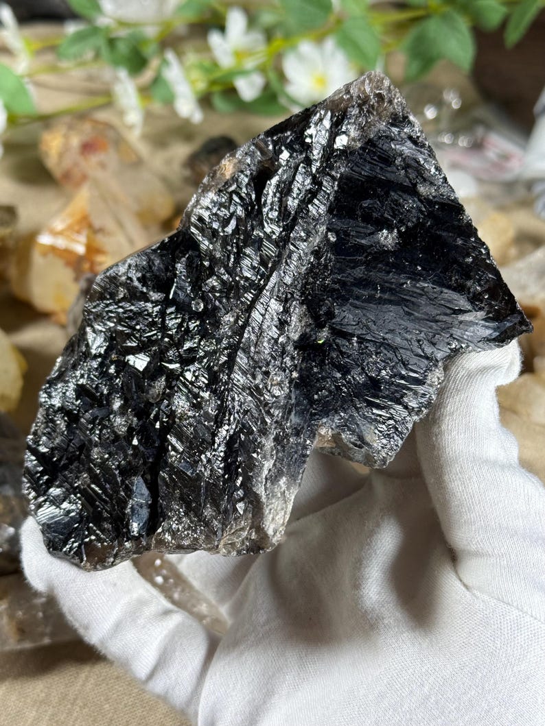 May include: A large, raw black mineral specimen with a reflective, metallic luster. The dark stone has a rough, uneven surface with visible crystalline structures. The mineral is held in a white gloved hand, with other crystals and greenery in the background.