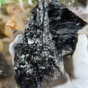 May include: A large, raw, black crystal with a reflective, metallic sheen. The crystal's surface is textured with visible lines and facets, catching the light. The crystal is a natural mineral specimen.