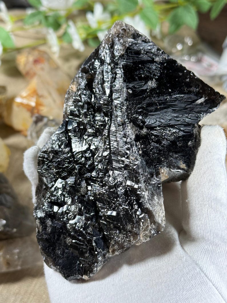 May include: A large, raw, black crystal with a reflective, metallic sheen. The crystal's surface is textured with visible lines and facets, catching the light. The crystal is a natural mineral specimen.