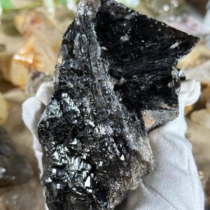 May include: A large, raw black tourmaline crystal with a reflective, textured surface. The crystal is held in a white glove, showcasing its dark, opaque appearance. The natural stone has a rough, uneven shape.