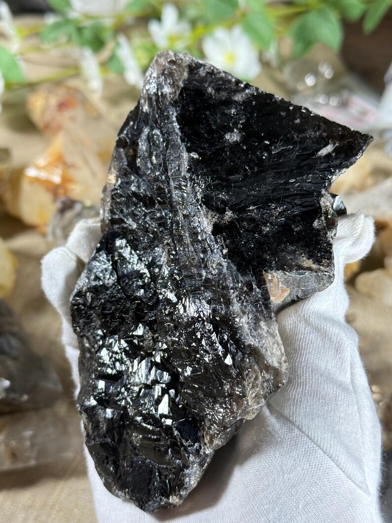 May include: A large, raw black tourmaline crystal with a reflective, textured surface. The crystal is held in a white glove, showcasing its dark, opaque appearance. The natural stone has a rough, uneven shape.