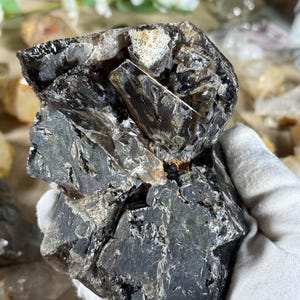 May include: A raw, dark smoky quartz crystal cluster. The crystal has a rough, textured surface with areas of black, brown, and clear quartz. The cluster is held in a white gloved hand, with a blurred background of other crystals and greenery.