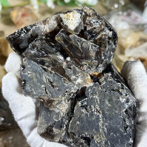 May include: A dark, layered mineral specimen with a mix of black, gray, and translucent sections. The rough, natural stone has a crystalline structure and is held in a white gloved hand. The background is blurred.