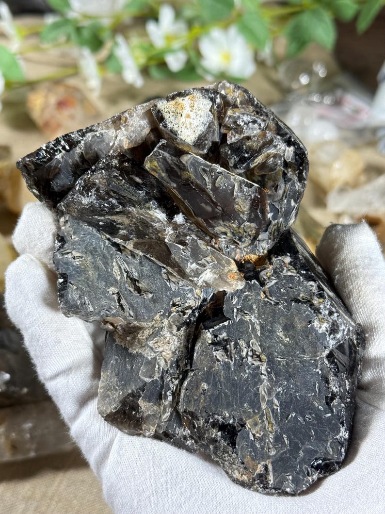 May include: A dark, layered mineral specimen with a mix of black, gray, and translucent sections. The rough, natural stone has a crystalline structure and is held in a white gloved hand. The background is blurred.