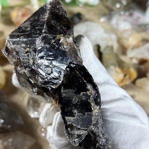 May include: A large, raw, black crystal with a glossy, reflective surface. The crystal has a jagged, irregular shape and appears to be held by a gloved hand. The background features other crystals and greenery, suggesting a natural mineral specimen.