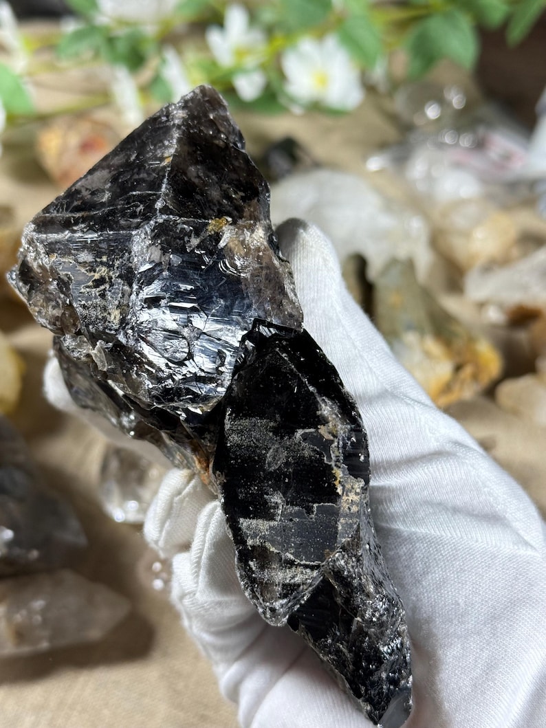May include: A large, raw, black crystal with a glossy, reflective surface. The crystal has a jagged, irregular shape and appears to be held by a gloved hand. The background features other crystals and greenery, suggesting a natural mineral specimen.