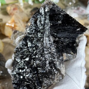 May include: A large, raw black tourmaline crystal with a reflective, textured surface. The crystal is held in a white gloved hand, with other crystals and flowers in the background. The dark color and natural form suggest a focus on natural stones.