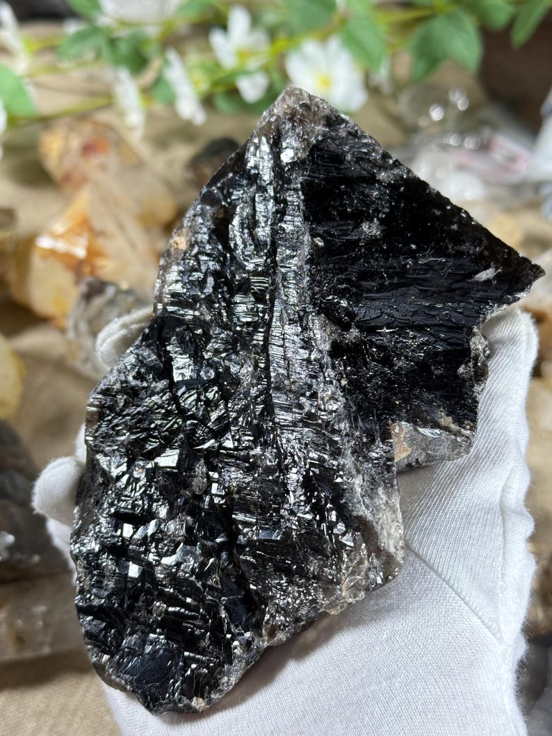 May include: A large, raw black tourmaline crystal with a reflective, textured surface. The crystal is held in a white gloved hand, with other crystals and flowers in the background. The dark color and natural form suggest a focus on natural stones.