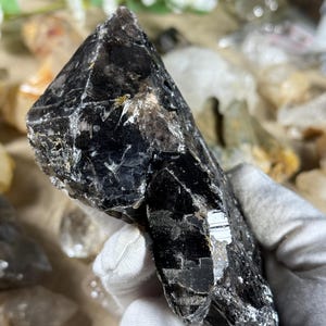 May include: A dark, faceted crystal with a deep black color and reflective surfaces. The crystal is held in a gloved hand, with other crystals and greenery in the background. The crystal's shape is irregular and natural.
