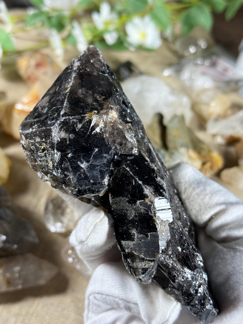 May include: A dark, faceted crystal with a deep black color and reflective surfaces. The crystal is held in a gloved hand, with other crystals and greenery in the background. The crystal's shape is irregular and natural.