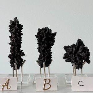 May include: Three black, jagged mineral crystal clusters displayed on silver metal stands with clear acrylic bases. Each stand features a small white card labeled with the letters A, B, and C in gold script, identifying the distinct crystal specimens.