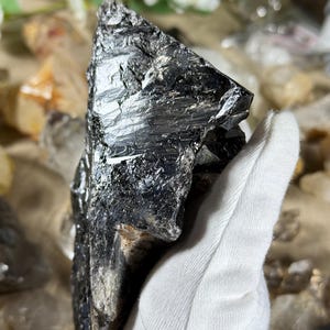 May include: A large, raw black tourmaline crystal with a rough, textured surface. The crystal is held in a white gloved hand, showcasing its natural, irregular shape and dark, reflective appearance. The background is blurred, suggesting a display of other crystals.