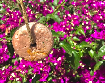 Vegan solid shampoo for curly and/or dry hair