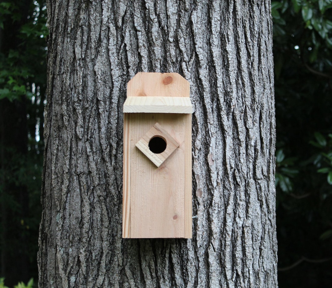 Cedar Wood Bluebird House Nest Box With Predator Guard - Etsy