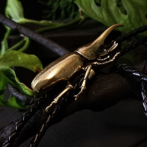 Corbata de bolo de latón con forma de escarabajo Hércules, joyería vintage para hombre, espécimen de insecto falso, regalo para amantes de la naturaleza, cordón de cuero dorado.
