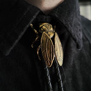 May include: A gold-toned metal bolo tie with an insect motif. The insect has detailed wings and is attached to a black, braided leather cord. The bolo tie is set against a black corduroy shirt.