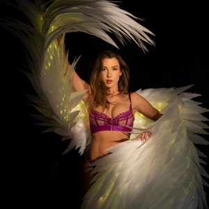 Magic illuminated wings for dancing, movable dance wings, wings with lights, white angel wings, wings for dance perfomances, stage wings