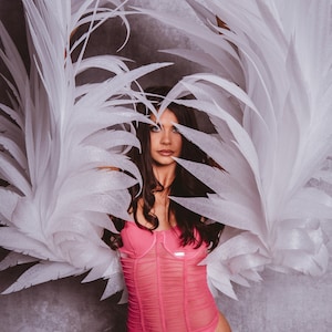 THONG WISE WINGS