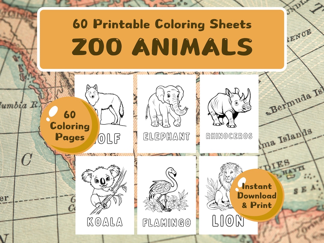 60 Zoo Animals With Names Coloring Pages for Kids Learning Materials