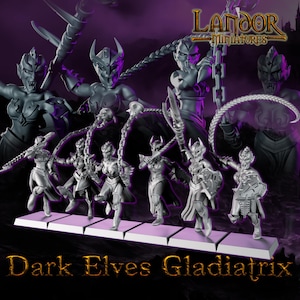 Dark elves Gladiatrix, Modular Dark Elven miniatures by Landor Miniatures! Dark Elves for Fantasy Wargames