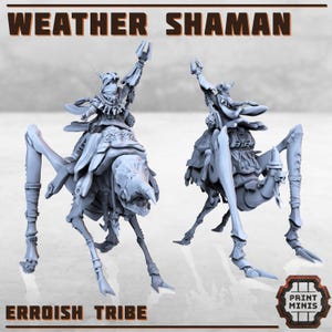 Der Wetterschamane - Die Erroish - Sci-Fi Grimdark Söldner by Print Minis