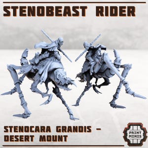 Erroish Häuptling - Wüstenreiter - Volk der Erroish - Sci-Fi Grimdark Söldner by Print Minis