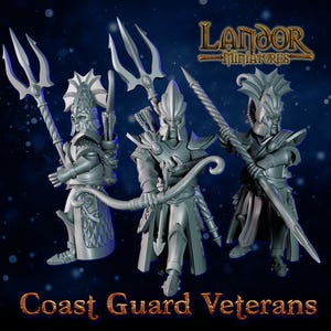 Veterani della Guardia Costiera, miniature modulari degli Alti Elfi di Landor Miniatures! Alti Elfi per i Wargame Fantasy