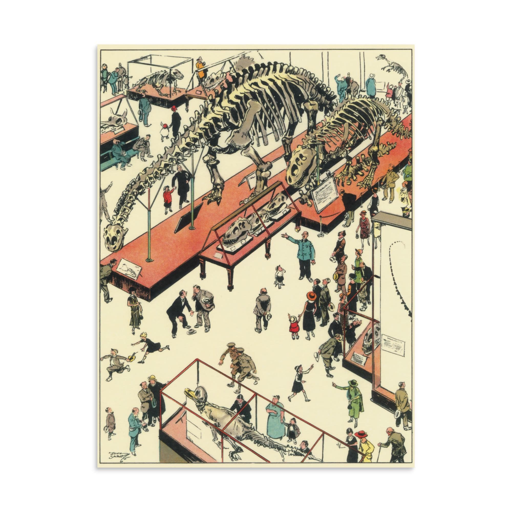 Natural History Museum Prints - Etsy