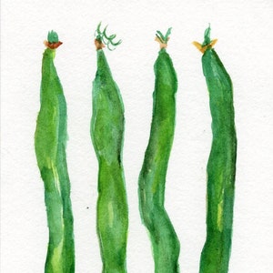 Original Green Beans watercolors paintings, Vegetable kitchen decor 4 x 6, hand painted, not a print,