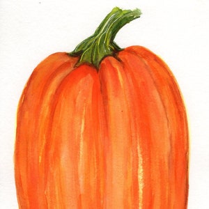 Original Orange Pumpkin Watercolor Painting  5 x 7 inches fall decor, vegetable, food wall art