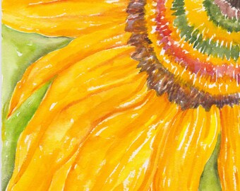 Sunflower watercolor painting original, 8 x 10 flower, floral home decor, home