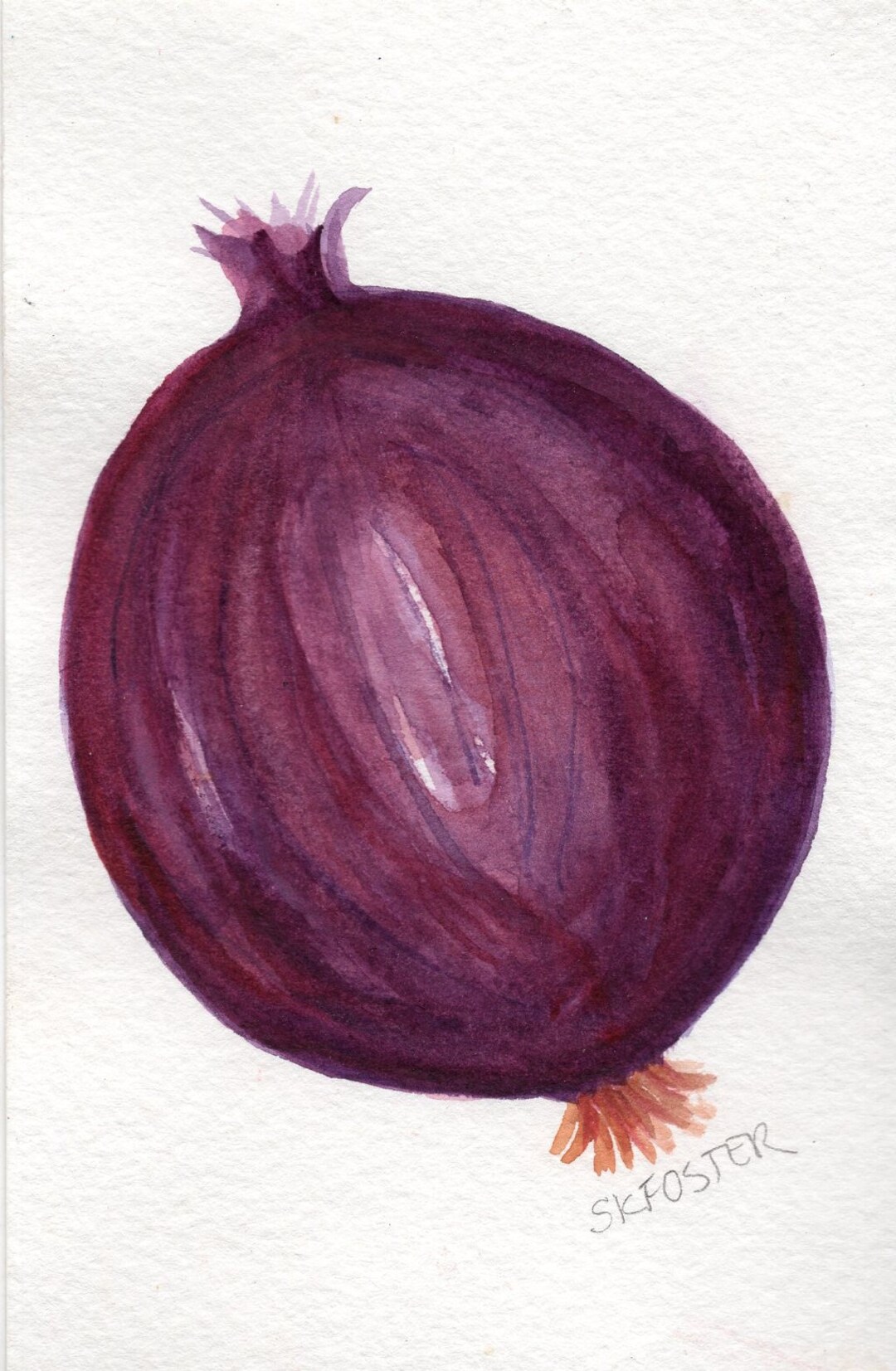 Onion Drawing - Colorful Vegetable Art