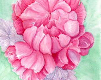 Peonies watercolor original painting, Peony Wall Art, pink, white floral artwork 8 x 10