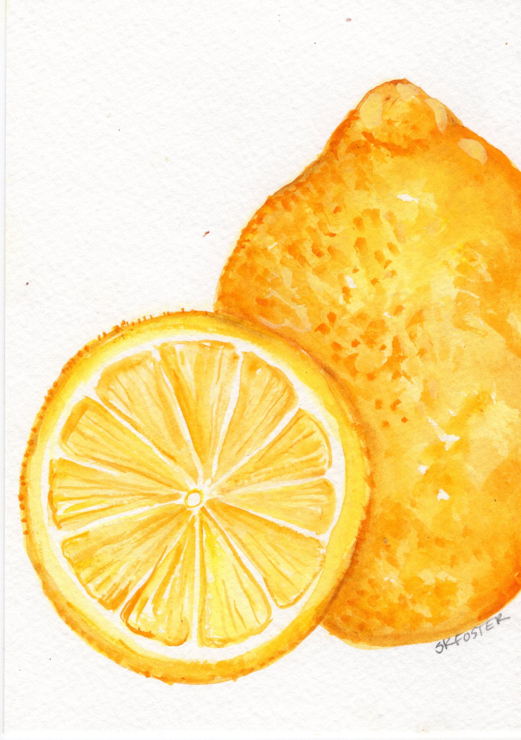 水彩画　limone 水彩画 limone
