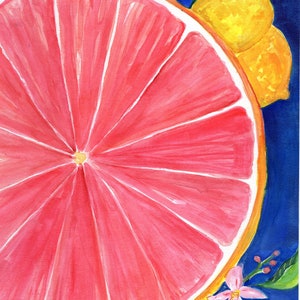 Grapefruit Watercolor Painting Original, Ruby Red Citrus ART 8 x 10 kitchen décor. lemons. citrus blossoms, image 4