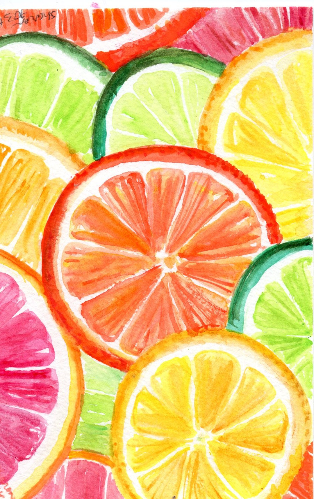 Citrus Fruit Original Watercolor Painting Orange, Lemon, Grapefruit ...