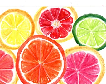 Citrus original watercolor painting, citrus fruit watercolor 4 x 6, Hot pink decor home