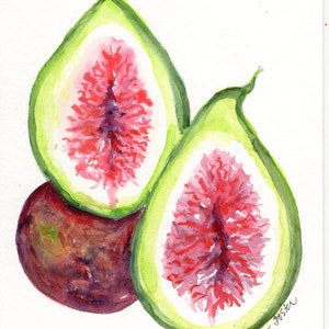 Figs watercolor painting original 5 x 7