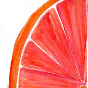 Original Grapefruit Watercolor Painting 5x7 - Ruby Red Citrus Art, Farmhouse Kitchen Decor, Vibrant Fruit Art