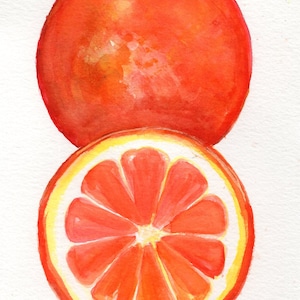 Original Oranges Watercolor Painting 5 x 7 Orange Fruit Wall Art, Kitchen Farmhouse Decor, home