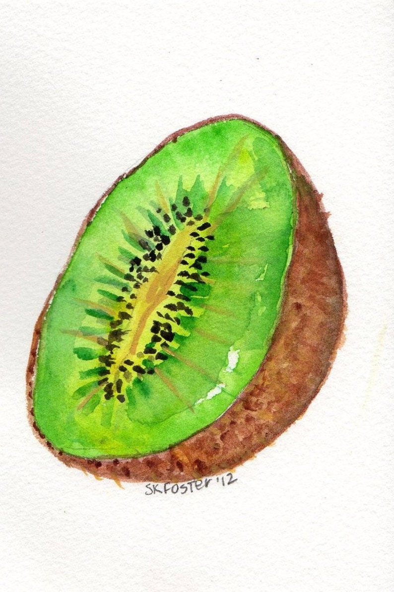 Kiwi Painting watercolor 4 x 6 Original Fruit Series Etsy