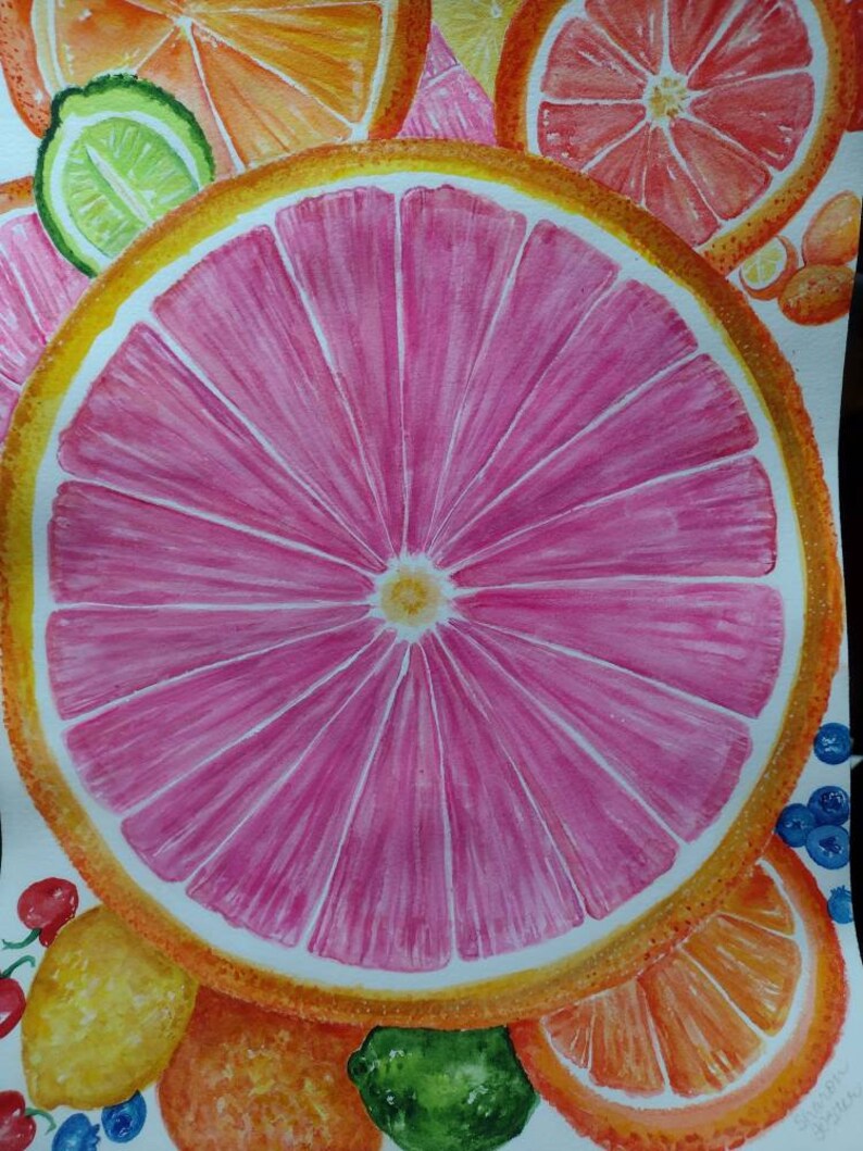 Original Citrus Watercolor Painting, Orange, Grapefruit, Lime slices, Fruit art 12 x 16 kitchen decor, image 2