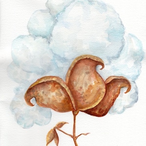 Cotton watercolor painting, cotton boll original art 8 x 10 Modern Farmhouse wall art