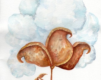 Cotton watercolor painting, cotton boll original, minimalism, rustic cotton art 8 x 10