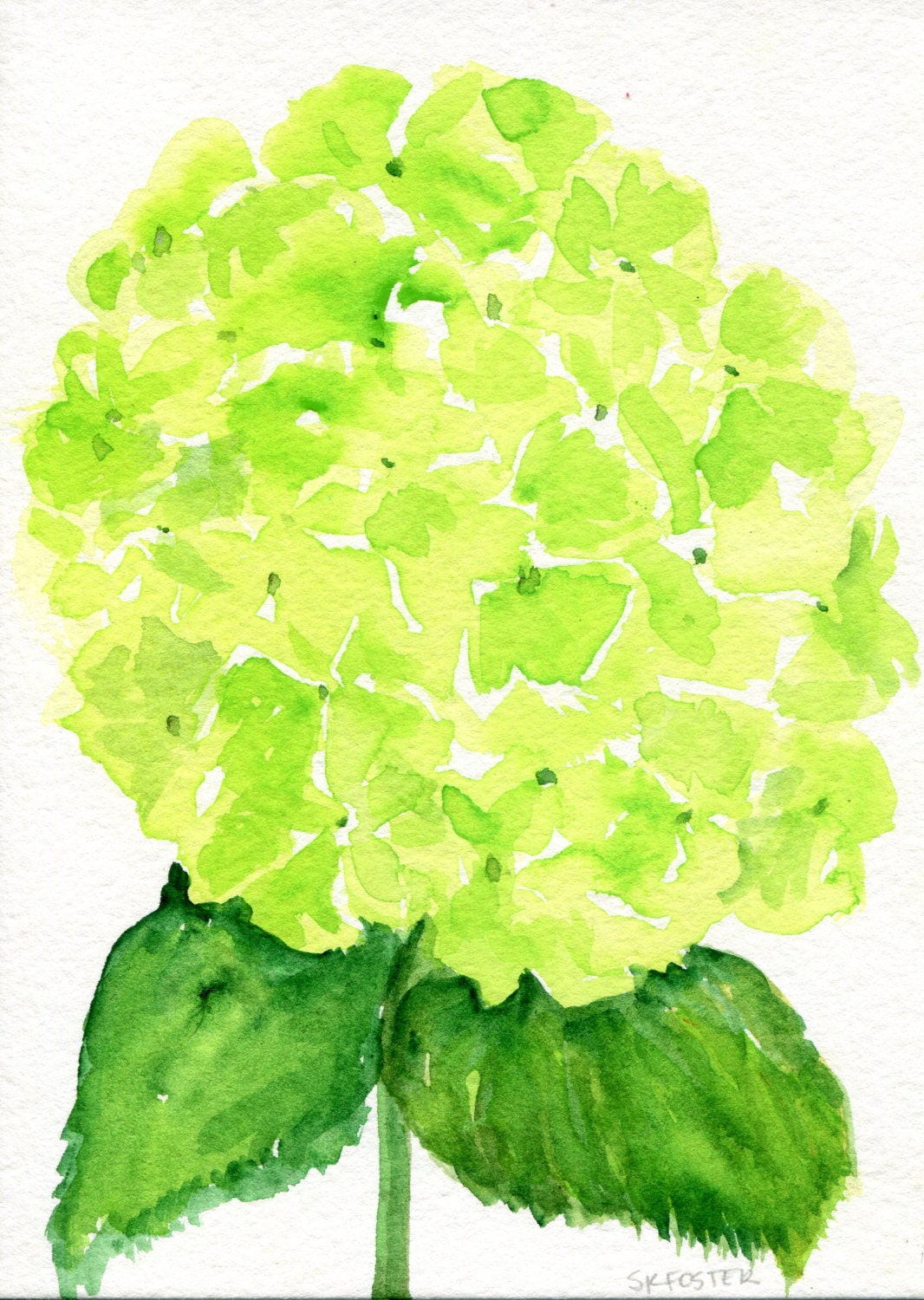 Hydrangea watercolor painting original 5 x 7 Lime Green | Etsy