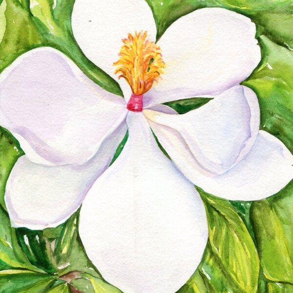 watercolor painting Magnolia from Mississippi, Original 8 x 10