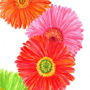 Gerbera Daisies Watercolor Art PRINT,  Gerber Daisies flower print 5 x 7 floral watercolor wall decor