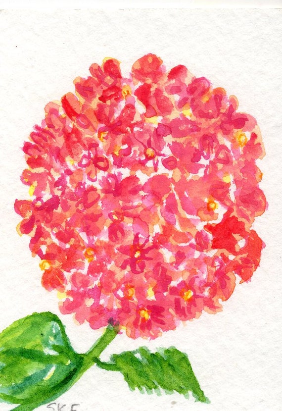 Image of Hydrangea red angel flower painting